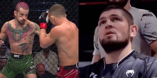 khabib choqué yan o'malley
