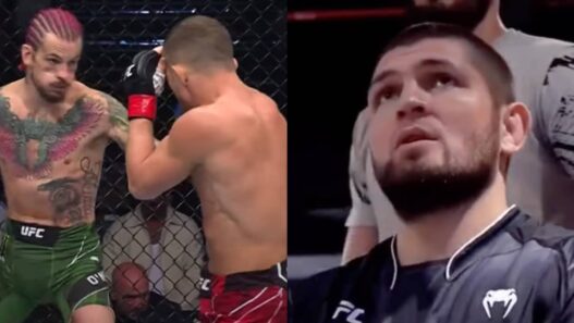 khabib choqué yan o'malley