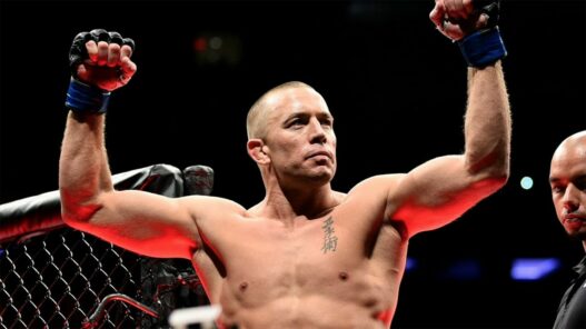 libre georges st-pierre ufc