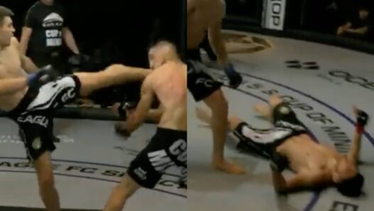 KO high kick paralyse