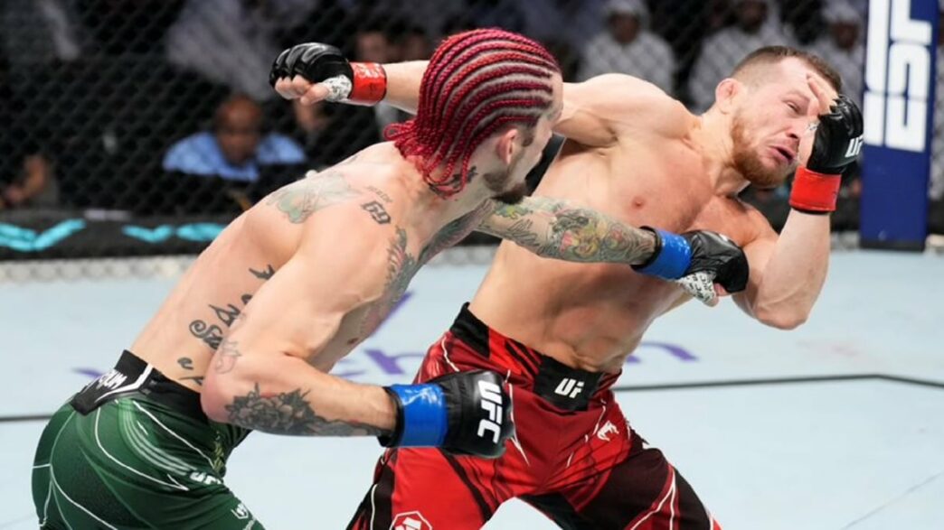 Sean-O'Malley-Petr-Yan-Malley