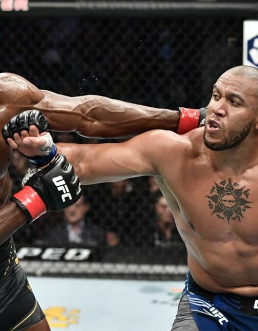 &laquo; J&rsquo;ai d&eacute;conn&eacute; &raquo; : Ciryl Gane livre ses regrets face &agrave; Francis Ngannou