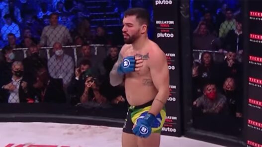 pitbull titre nurmagomedov