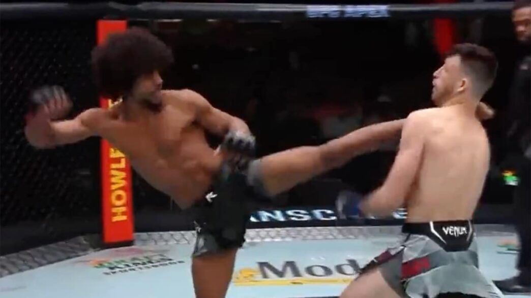 KO head kick impossible