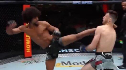 KO head kick impossible