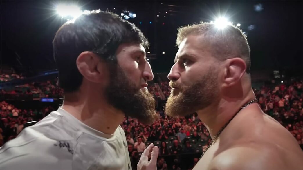 blachowicz tweet ankalaev