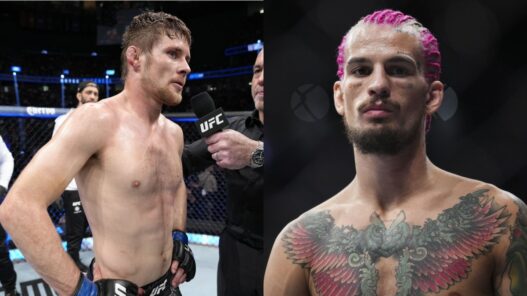 Sean O'Malley ridiculise Bryce