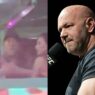 dana white ufc giflé