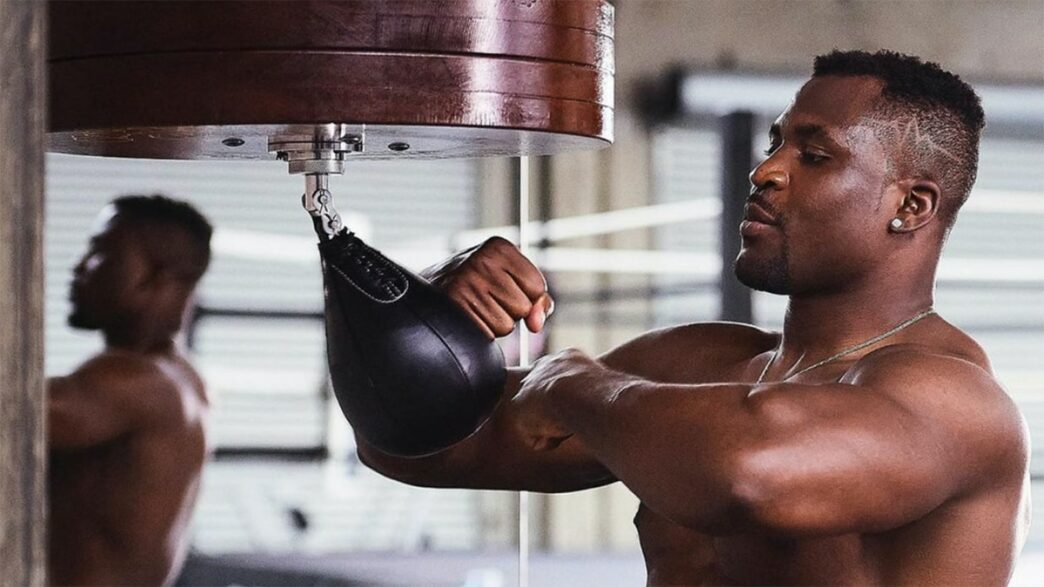 francis ngannou boxeur moyenne