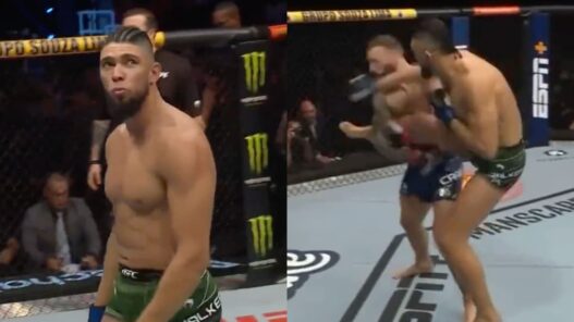 johnny walker tko premier