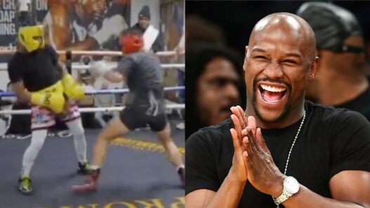 mayweather ridiculise youtubeur