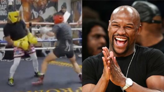 mayweather ridiculise youtubeur