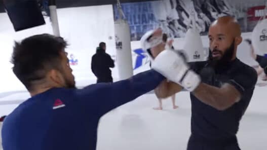 légendes ufc goku vegeta