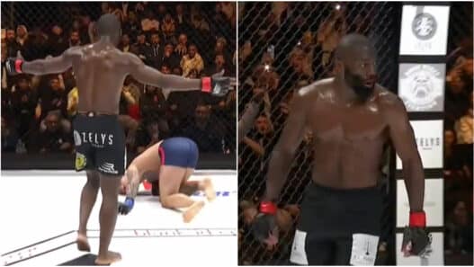 cédric doumbé victoire