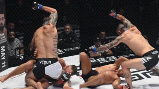 Laureano-Staropoli-Mickael-Lebout