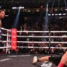 gervonta davis ko garcia