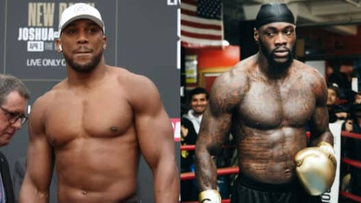 joshua annonce wilder