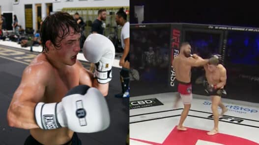 vicieux ko 17 secondes