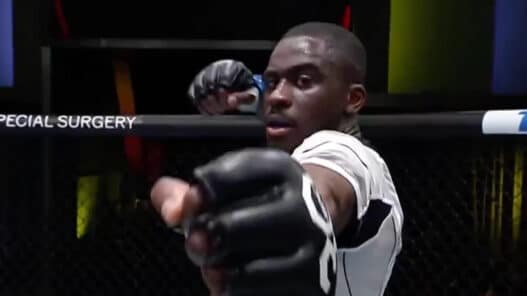 ufc paris william gomis