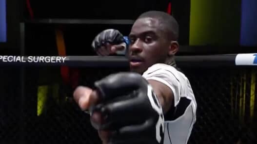 ufc paris william gomis