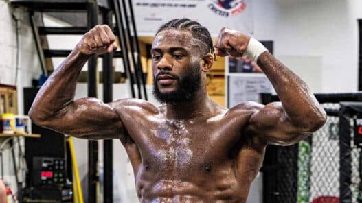 aljamain sterling poids