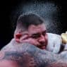 andy ruiz piraté