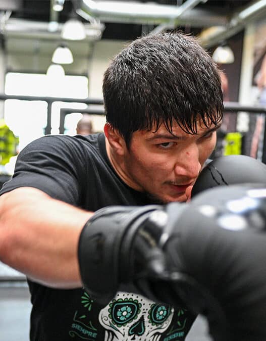 baki pas ceinture ares