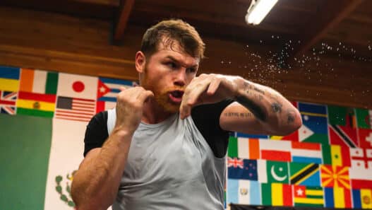 canelo adversaires