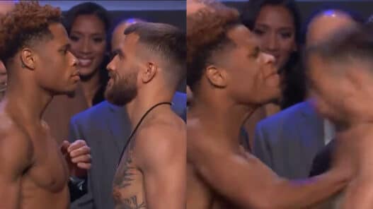 haney lomachenko brutal