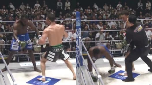 KO terrifiant pétrifie