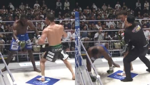 KO terrifiant pétrifie