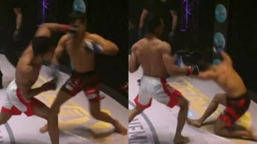 McGregor-Egyptien-KO