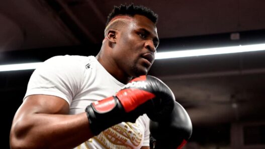 boxe ngannou gros nom