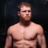 canelo alvarez deux adversaires