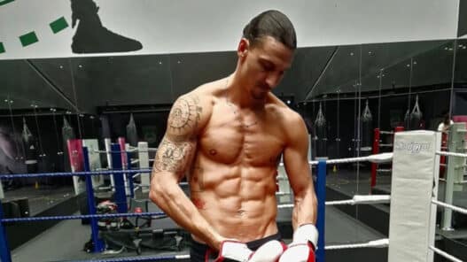 zlatan ibrahimovich boxe