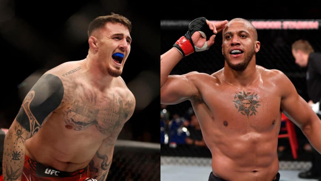 gane avertit aspinall