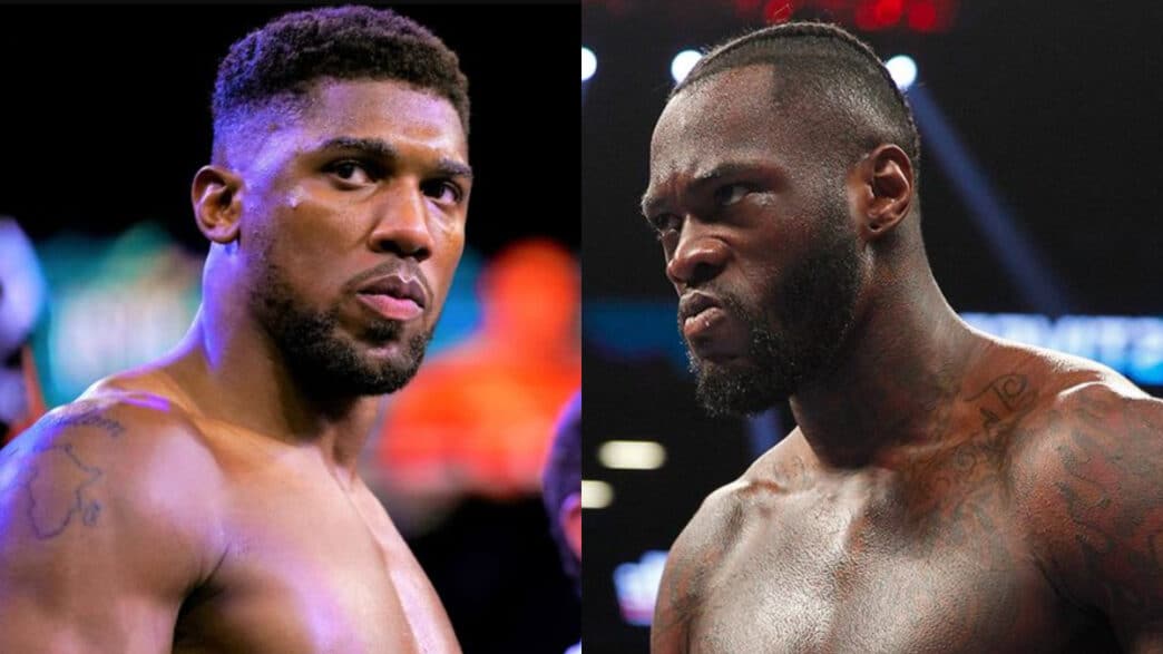 joshua wilder décembre