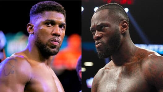 joshua wilder décembre