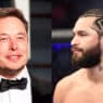 musk zuckerberg masvidal
