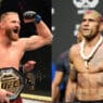 pereira blachowicz titre