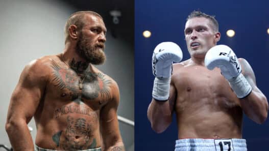 usyk conor mcgregor
