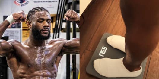 aljamain sterling 20 kg