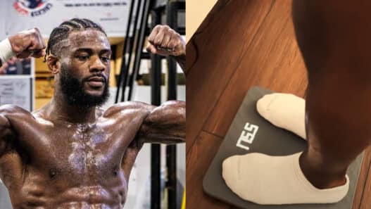 aljamain sterling 20 kg