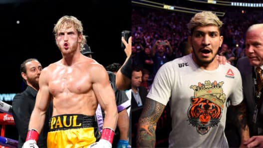 logan dillon danis clause