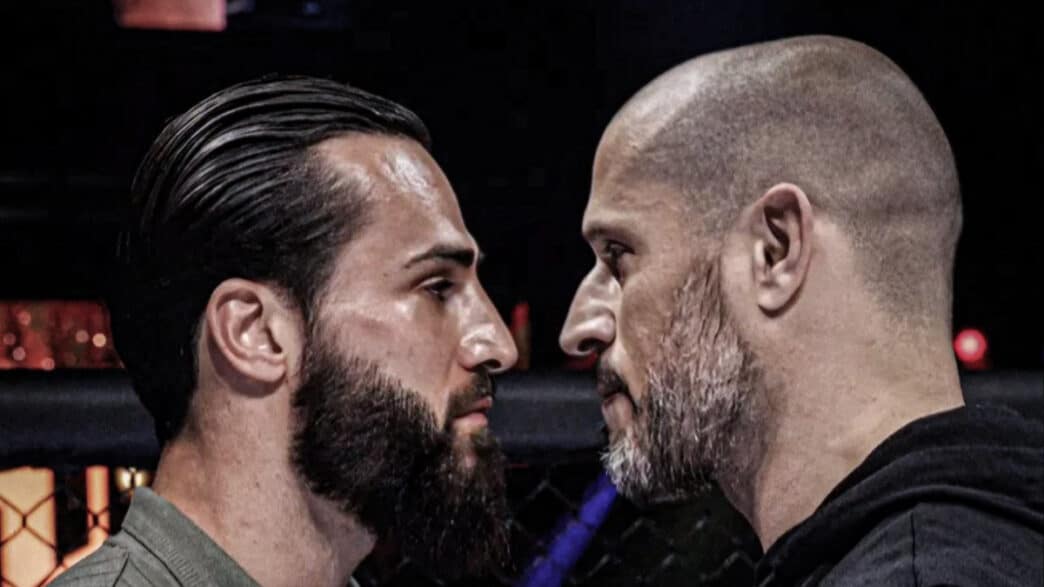 ibra hexagone greg mma