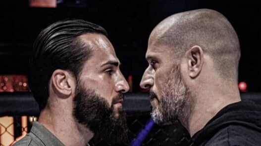 ibra hexagone greg mma