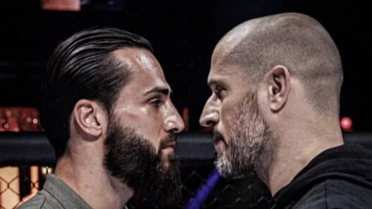 ibra hexagone greg mma