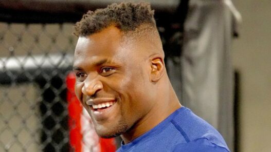Francis Ngannou objectifs