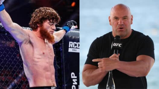 dana avertit sharapudtin magomedov