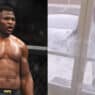 francis ngannou explose magasin